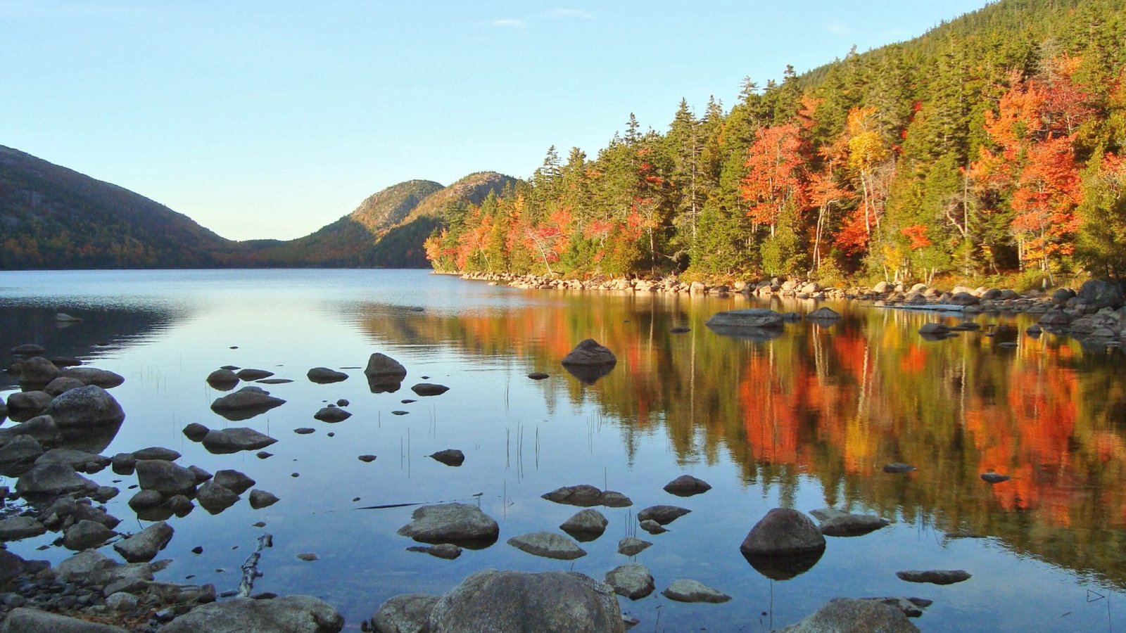 View of Howard Pond shoreline and surrounding forest